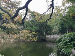 -叶家花园