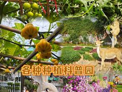 -盈香心动乐园