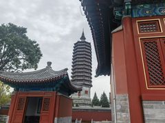 -西海子公园