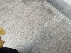 -巴倒烫陆派重庆火锅(南山店)