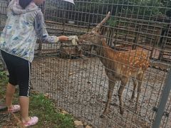 -北京山里寒舍度假酒店