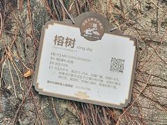 -潮州西湖