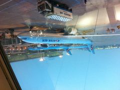 LOTTE&nbsp;DFS(仁川国际机场店)-乐天免税店(仁川国际机场店)