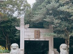 -普陀山风景区-佛顶山