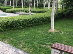 -河北省园博园