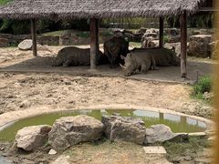 -上海野生动物园