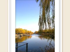 -中关村生命科学园