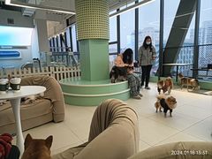 -怪兽屋·羊驼·猫咖·狗咖(俊华广场店)