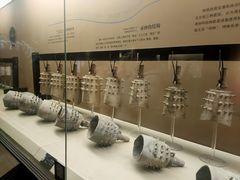 -鸿山遗址博物馆