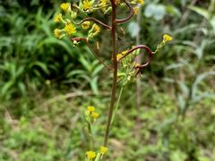 -东钱湖旅游度假区