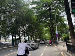 -长洲岛