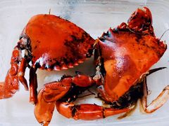 -友强·23年特色海鲜大排档(厦门店)