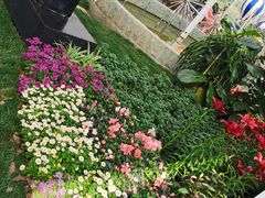 -上海鲜花港