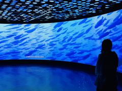 -同济大学四平路校区深海探索馆