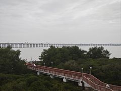 -宝安西湾红树林湿地公园