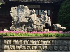 -檀园