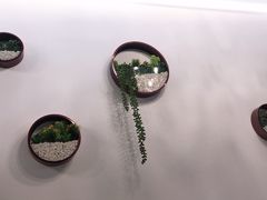 -老湘亲·品鉴湘菜(湖里店)