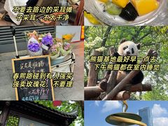 -成都大熊猫繁育研究基地