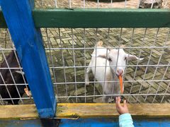 -武汉紫薇都市田园