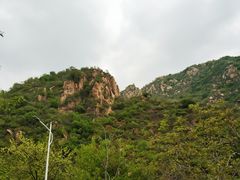 -大岭沟猕猴桃谷风景区