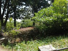 -紫金山天文台