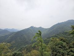 -莫干山风景区