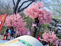 -天津五大道文化旅游区