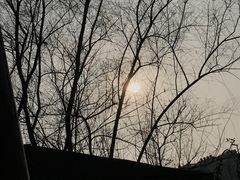 -咸宁万豪温泉谷度假区