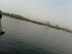 android_upload_pic-森林公园(尖草坪区)