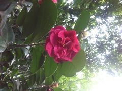 望江楼公园-望江楼公园