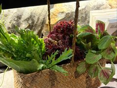 -芸山季·云南山珍菌火锅(人民广场来福士店)