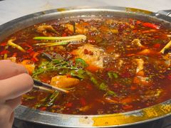 -蜀滋香鲜鱼美蛙火锅(339店)