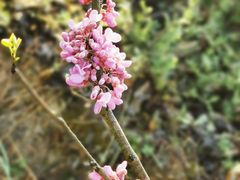 -天台山赤城山景区