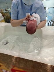 -恒悦贝贝月子会所(海珠店)
