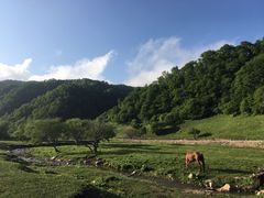 -大水川景区