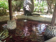 -三亚珠江南田温泉度假区