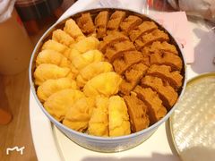 -珍妮曲奇聪明小熊(尖沙咀店)