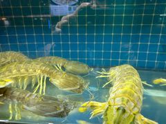 -醉壹号海鲜大排档(厦门美食地标店)