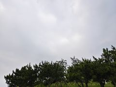 -小麦岛公园