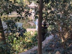 -深圳国际园林花卉博览园