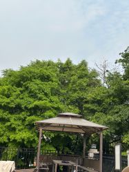 -森宝月子中心(白云山店)
