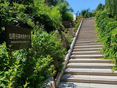 -仙居谷风景区