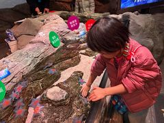 -沈阳海洋探索中心