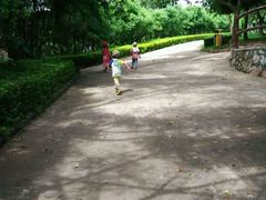 android_upload_pic-广东茂名森林公园