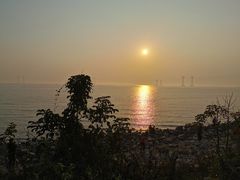 -宝安西湾红树林湿地公园