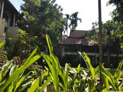 -清迈菩提塞雷纳