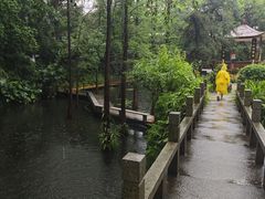 -广州兰圃