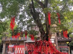 -成都欢乐谷