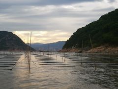 -北岐滩涂
