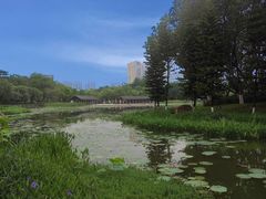 -映月湖公园